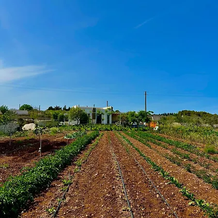 L'armino Vista Mare Дом отдыха *