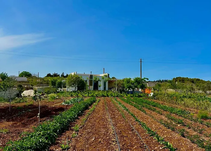 L'armino בית נופש *